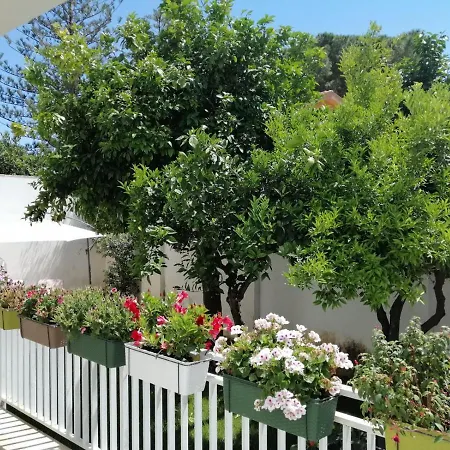 Holiday home Beach The House With Green Lawns Mondello