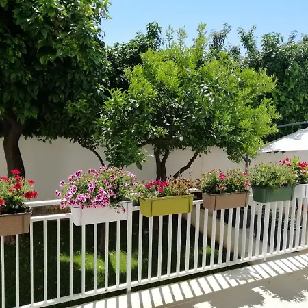 Beach The House With Green Lawns *